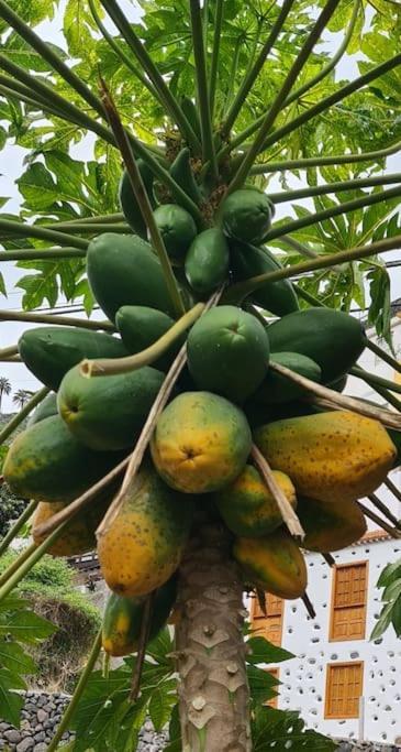 Casa Rural Antigua Escuela II エルミグア エクステリア 写真